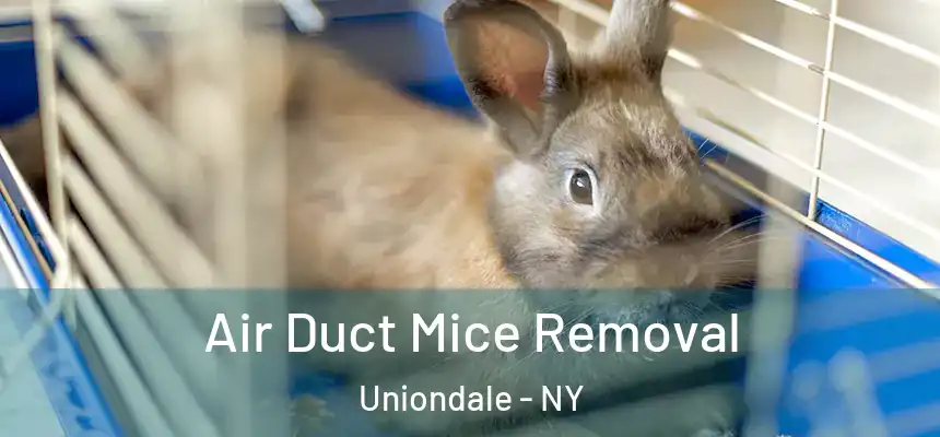  Air Duct Mice Removal Uniondale - NY