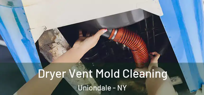 Dryer Vent Mold Cleaning Uniondale - NY