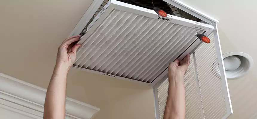 Preventive Cockroach-Proofing for Ducts in Uniondale