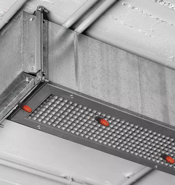 About Air Duct Cockroach Removal in Uniondale, NY