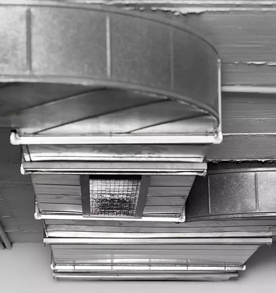 Professional Air Duct Pest Removal in Uniondale, NY