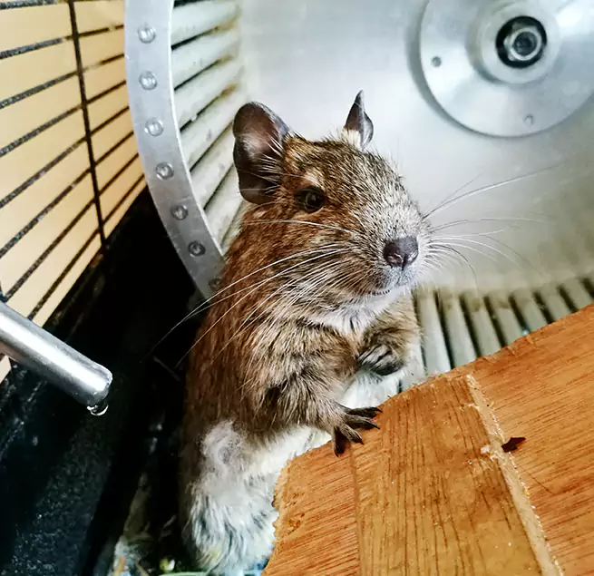 Why Homeowners & Businesses Trust Us Uniondale, NY