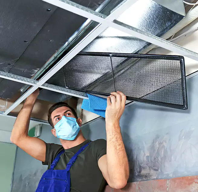 Why Homeowners Businesses Trust Us in Uniondale, NY