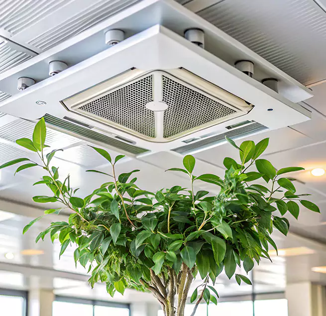 Why Homeowners & Businesses Trust Us in Uniondale, NY?