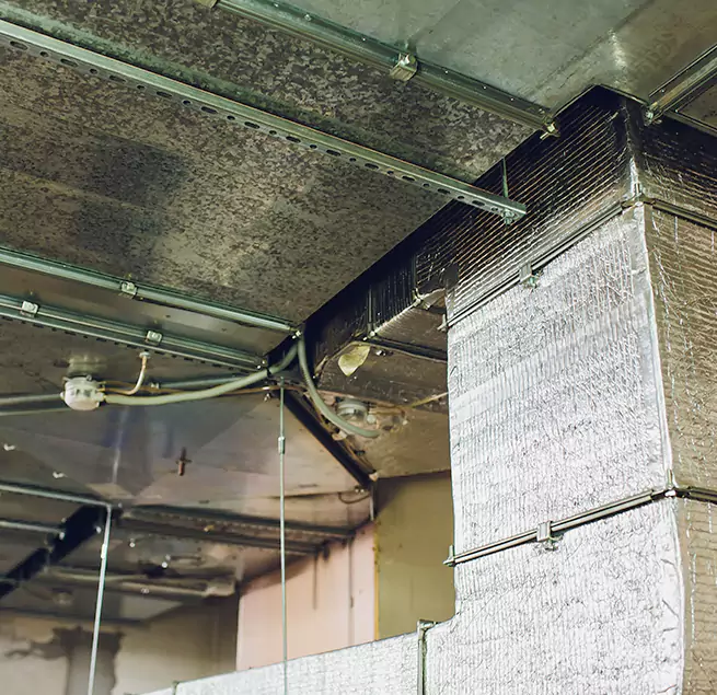 Why Homeowners & Businesses Trust Us in Uniondale, NY?